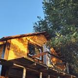 Тепло лесного домика 🏠