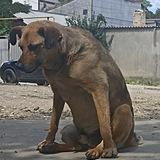 Кривой почерк