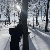 лирика