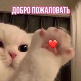милашкинсы