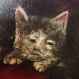 Cats on canvas