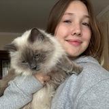 оля олигодендроцит
