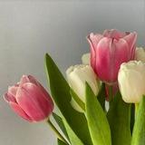 💞 Счастливые отношения с собой и с партнёром 💞