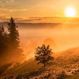Луч света в тёмном царстве