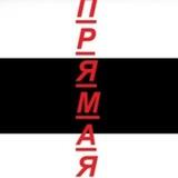 прямая кишька🫀