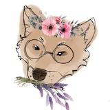 🌸Noana🌸