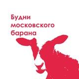Будни московского барана