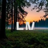 LM | аукционы