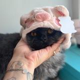 Хрюшенькины сапоги