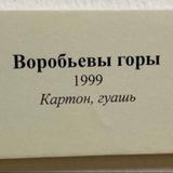 Горы Воробьева