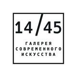 Художественная галерея 14/45