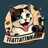 Котводворе