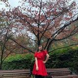 Ita Asia