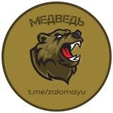 🐻Медведь
