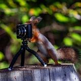 Евгения Мальцева 📸📝