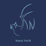 Knyaz Nochi