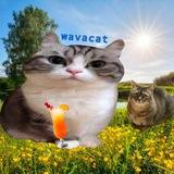 🇪🇺 wavacat 💀📢🔨