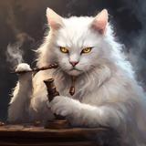 Белее Белого 🐈⬛ Мемы