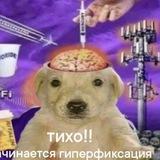 Жижабыс 2.0