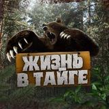 ЖИЗНЬ В ТАЙГЕ🐻🐻🐻