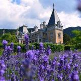 Массандровский дворец | Massandra palace