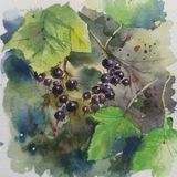 Natalia_NS_art
