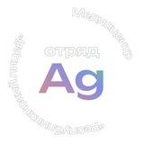 Отряд Аргентум | Республиканский лицей