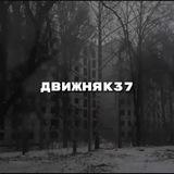 движняк37