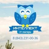 IT-лагерь «Интеллект» 2025