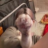 катя опять страдает от шизофрении