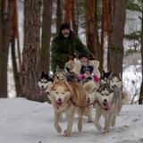 🐕🐕🐕--Роман с Хаски
