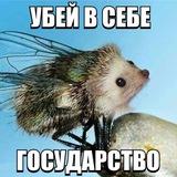 человекотёнок