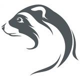 FuryFerret news (rus)