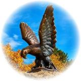 KMVLIVE. ВСЕ О КМВ (Пятигорск, Кисловодск, Ессентуки, Железноводск, Лермонтов, Георгиевск, Минводы) новости, афиша, события