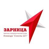 Зарница 2.0 «Соколы 221»