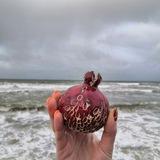 NO NAME CERAMICS Керамика Санкт-Петербург