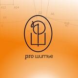 PRO Шитье | онлайн-школа пошива нижнего белья
