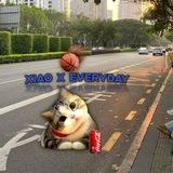 🌺Xiao ~ Everyday