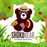 Shokobear (Олег Зайцев о банкротстве)