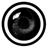 ILLUSTRATOR