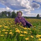 Олин_Дворик_Огород_Дача_Цветы🌻🌻🌻