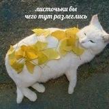 ириска даёт свэг🚫ᴼᵘᵗᶜᵃˢᵗ