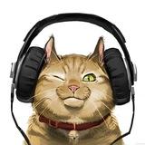 Ушастики - Пушистики | Котики