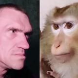 Это надо чувствовать