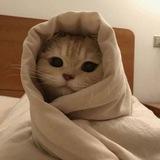 Петя