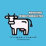 Молочное животноводство