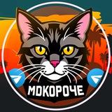 MDКороче 🙀