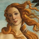 ⊹｡ྉfæ nymph༻