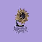 creative studio 🌻
