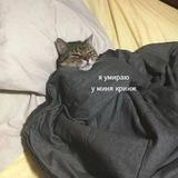 Sh
